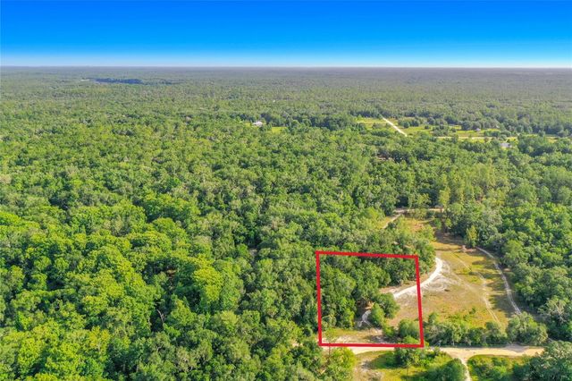33099 CORAL ROCK DRIVE, Webster, FL 33597