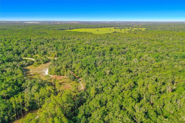 33099 CORAL ROCK DRIVE, Webster, FL 33597