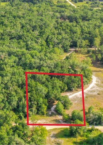 33099 CORAL ROCK DRIVE, Webster, FL 33597