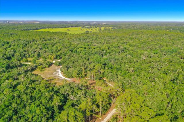 33099 CORAL ROCK DRIVE, Webster, FL 33597