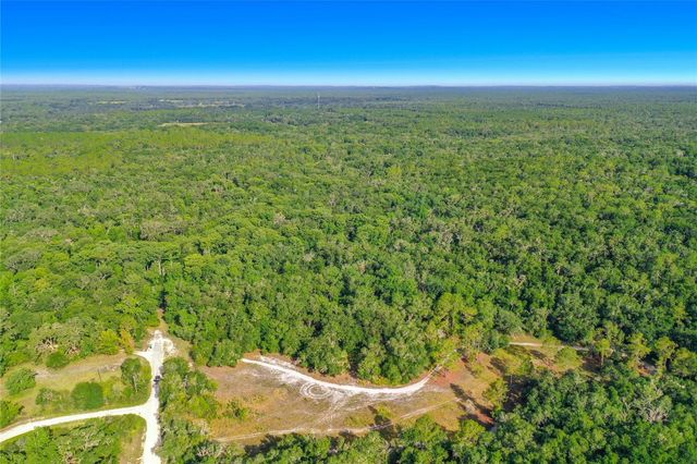33099 CORAL ROCK DRIVE, Webster, FL 33597