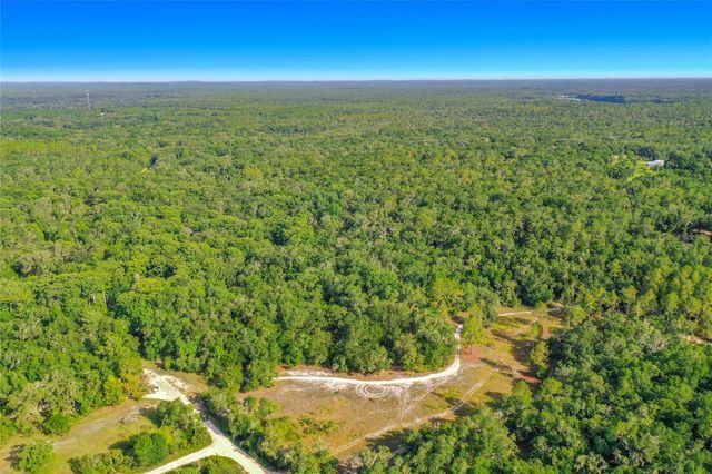 33099 CORAL ROCK DRIVE, Webster, FL 33597