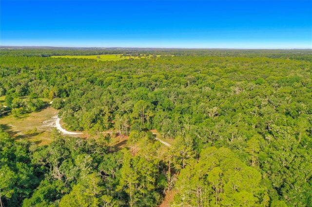 33099 CORAL ROCK DRIVE, Webster, FL 33597