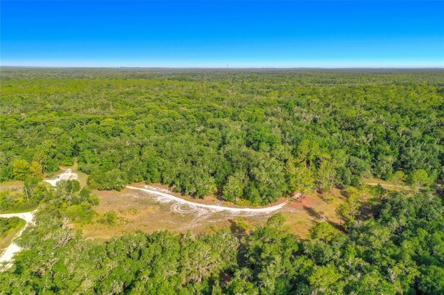 33099 CORAL ROCK DRIVE, Webster, FL 33597
