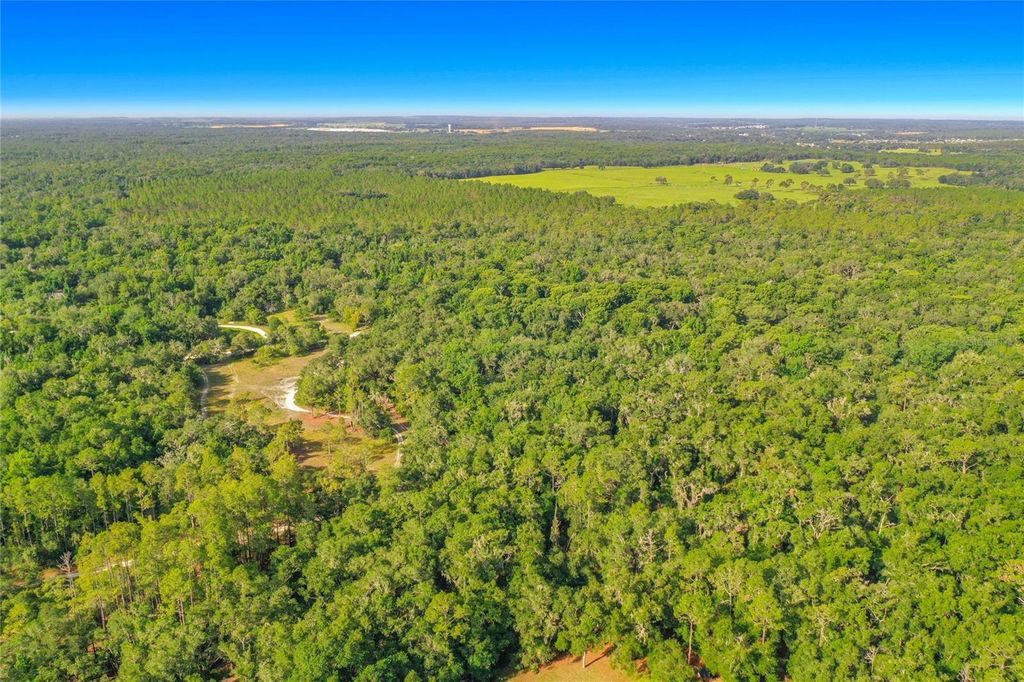 33099 CORAL ROCK DRIVE, Webster, FL 33597