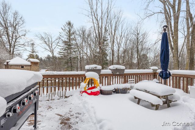 12189 Reyburn Drive NE, Sparta, MI 49345