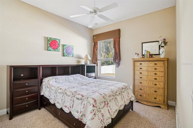 6114 TREMAYNE DRIVE, Mount Dora, FL 32757