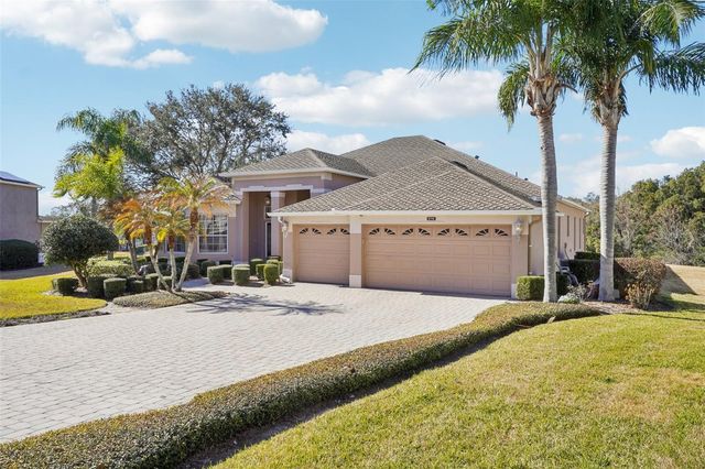 6114 TREMAYNE DRIVE, Mount Dora, FL 32757