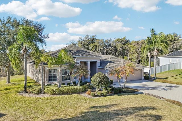 6114 TREMAYNE DRIVE, Mount Dora, FL 32757