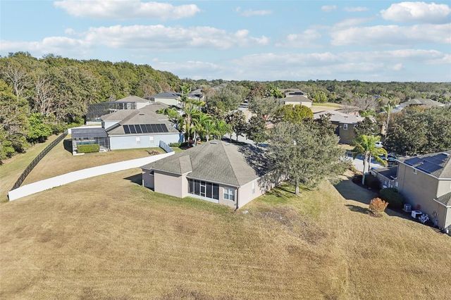 6114 TREMAYNE DRIVE, Mount Dora, FL 32757