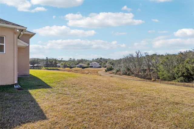 6114 TREMAYNE DRIVE, Mount Dora, FL 32757