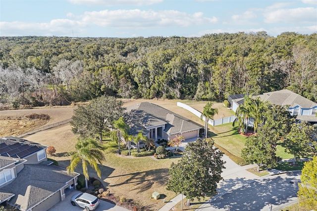 6114 TREMAYNE DRIVE, Mount Dora, FL 32757