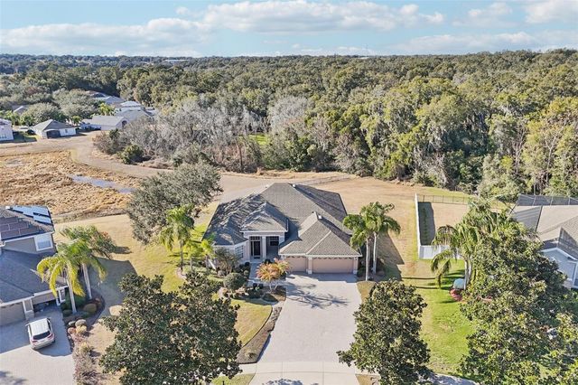 6114 TREMAYNE DRIVE, Mount Dora, FL 32757