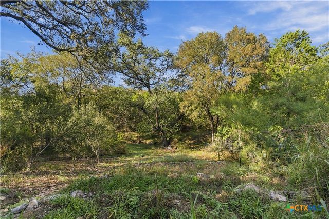 205 Homestead Road, Kyle, TX 78640