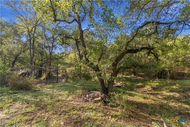 205 Homestead Road, Kyle, TX 78640