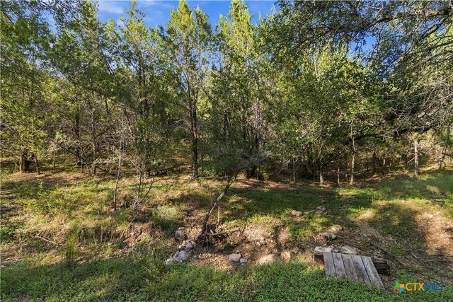 205 Homestead Road, Kyle, TX 78640