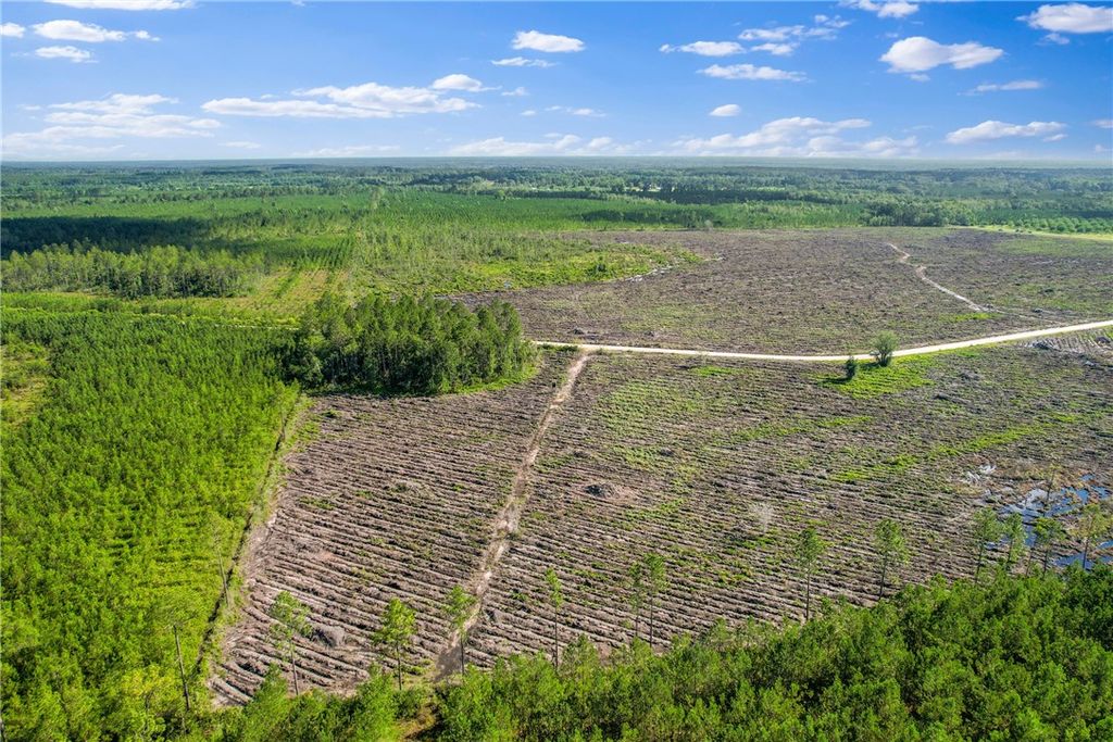 Tract 4 Morris Break Road, Odum, GA 31555