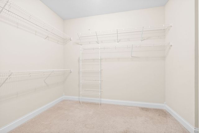 137 Clarendon Trce, Clarksville, TN 37043