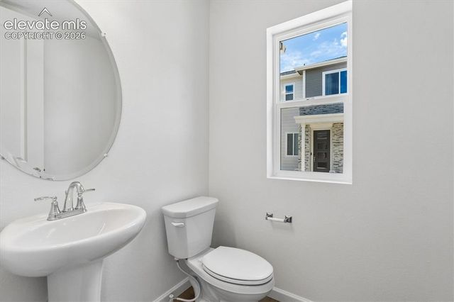2468 Serviceberry Grove, Colorado Springs, CO 80915