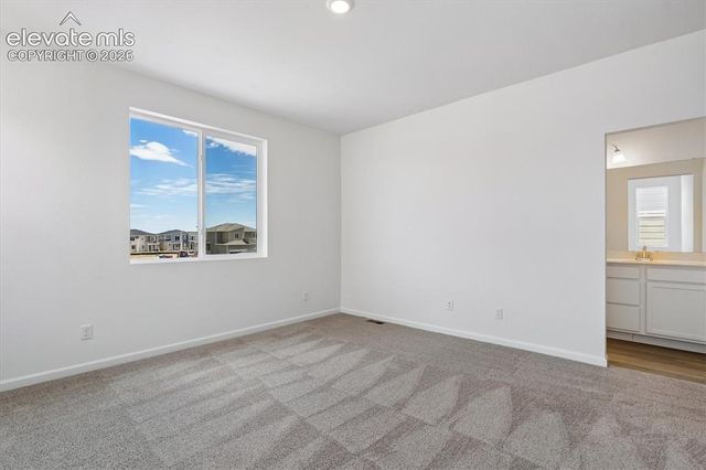 2468 Serviceberry Grove, Colorado Springs, CO 80915