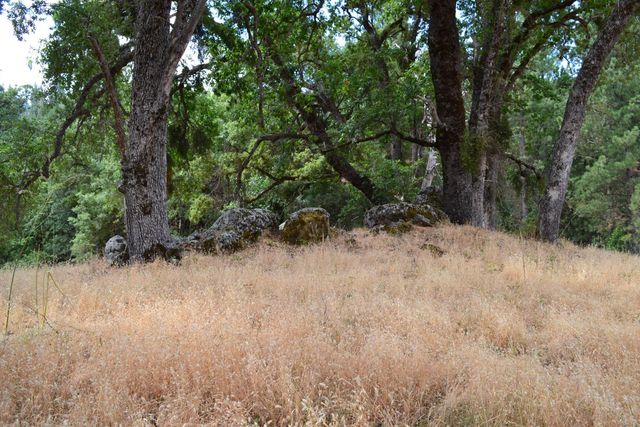 8600 Lodestone Rd, Somerset, CA 95684