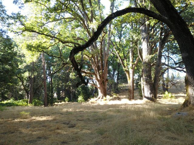 8600 Lodestone Rd, Somerset, CA 95684