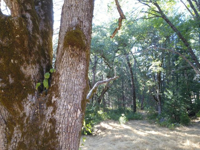 8600 Lodestone Rd, Somerset, CA 95684