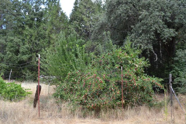 8600 Lodestone Rd, Somerset, CA 95684