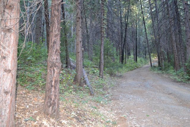 8600 Lodestone Rd, Somerset, CA 95684