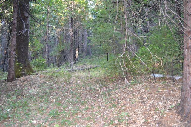 8600 Lodestone Rd, Somerset, CA 95684