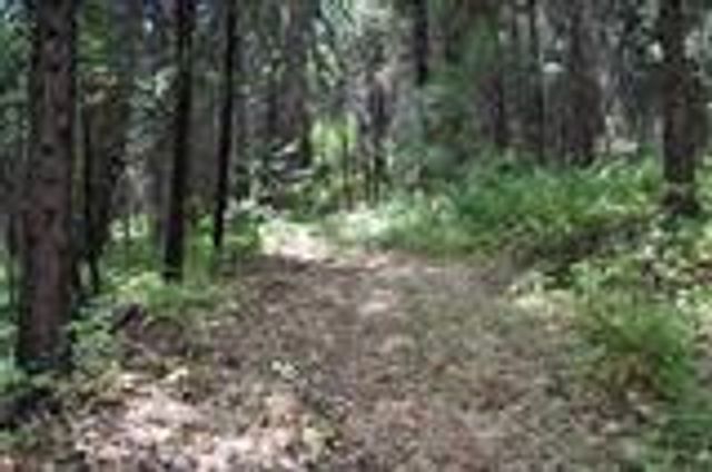 8600 Lodestone Rd, Somerset, CA 95684