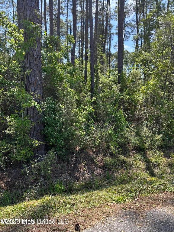 Parkview Lane, Pass Christian, MS 39571