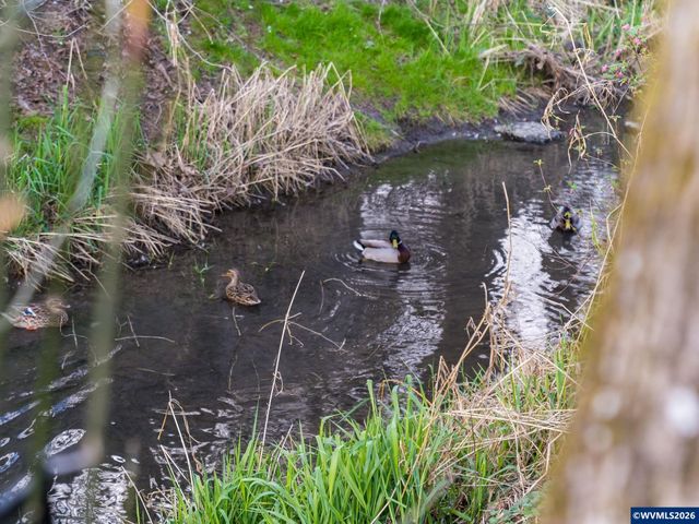 1869 Plateau St NE, Salem, OR 97305