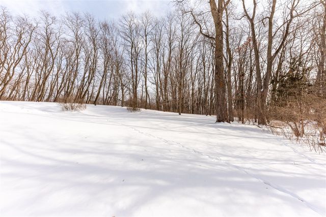 8655 Joeys Drive, Pinckney, MI 48169