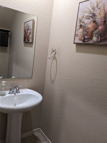 10304 Big Sandy Court, Mckinney, TX 75071