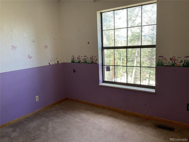 1365 Burland Dr, Bailey, CO 80421