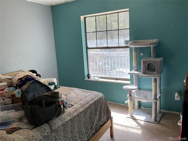 1365 Burland Dr, Bailey, CO 80421
