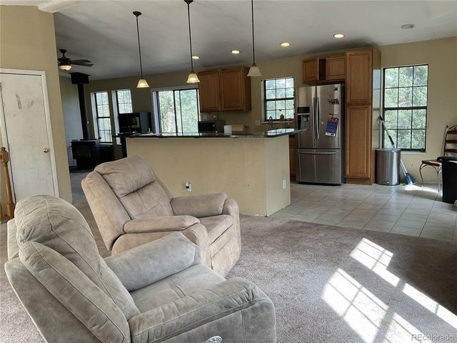 1365 Burland Dr, Bailey, CO 80421