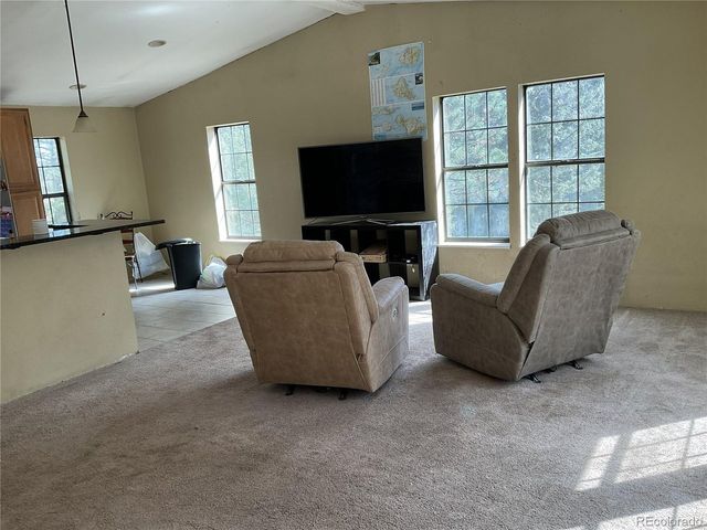 1365 Burland Dr, Bailey, CO 80421