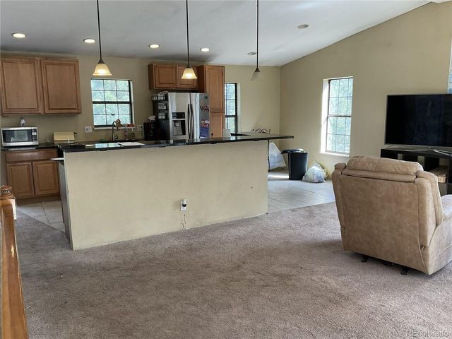 1365 Burland Dr, Bailey, CO 80421
