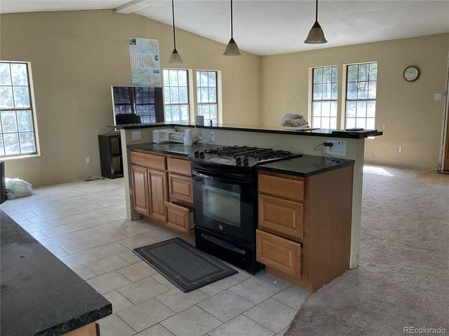 1365 Burland Dr, Bailey, CO 80421