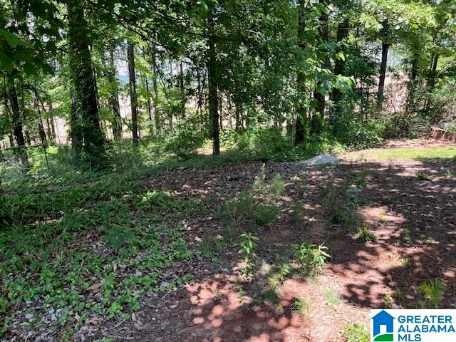 248 KENSINGTON LANE, Alabaster, AL 35007