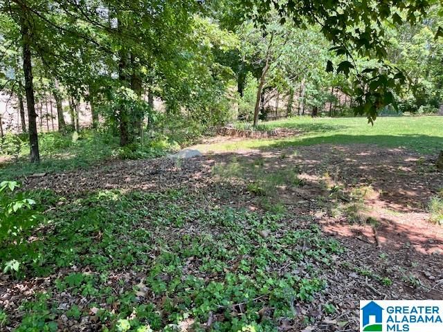 248 KENSINGTON LANE, Alabaster, AL 35007