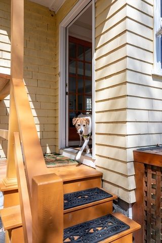 35 Falmouth Street, Belmont, MA 02478