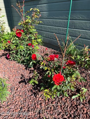 2723 N Azurite Circle, Wasilla, AK 99654