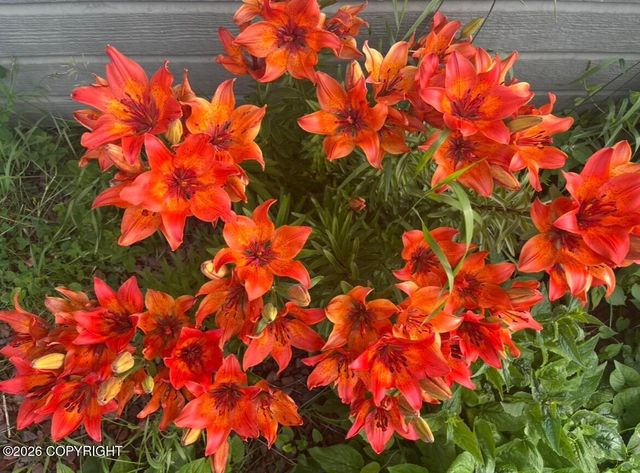 2723 N Azurite Circle, Wasilla, AK 99654