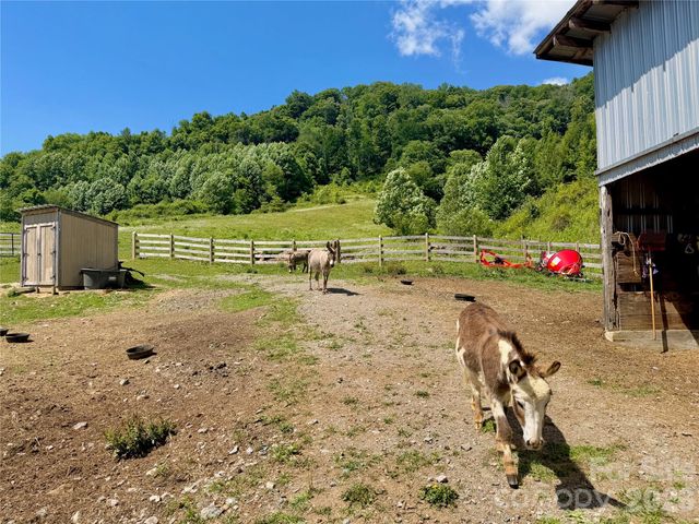419 Fletcher Branch Road, Vilas, NC 28692
