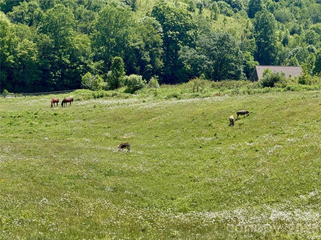 419 Fletcher Branch Road, Vilas, NC 28692