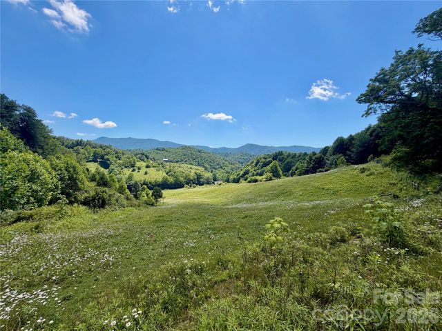 419 Fletcher Branch Road, Vilas, NC 28692