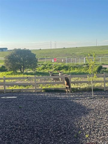 4305 Rapport Drive, Castle Rock, CO 80104